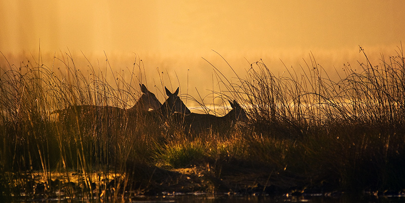 © Abenteuer Flusslandschaft / Anklam