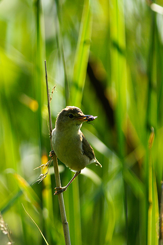 © Abenteuer Flusslandschaft / Anklam