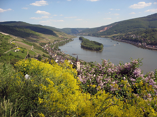 © Rheingau Taunus Kultur- und Tourismus GmbH