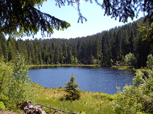 © Tourismus-Zweckverband im Tal der Murg