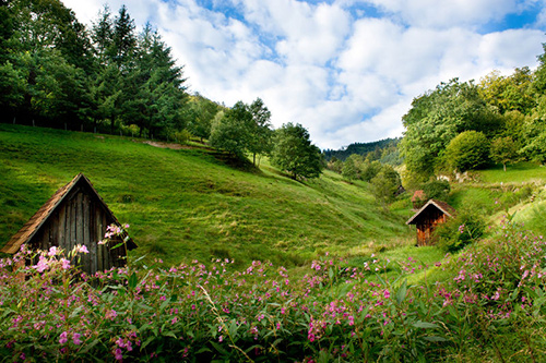 © Tourismus-Zweckverband im Tal der Murg