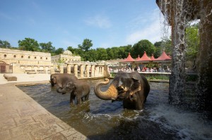 © Zoo Hannover