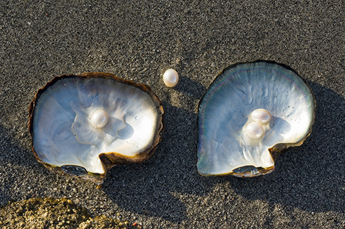 Ajman Strand